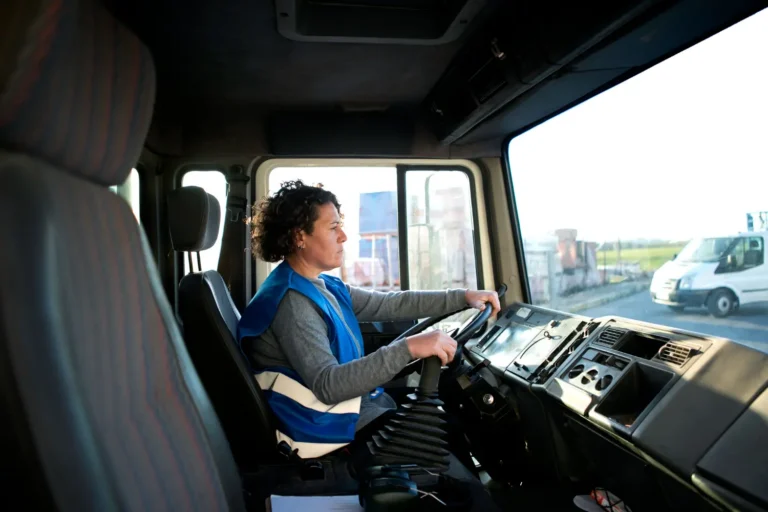 Entenda como funciona o transporte rodoviário no Mercosul e saiba quais mercadorias podem ser transportadas!